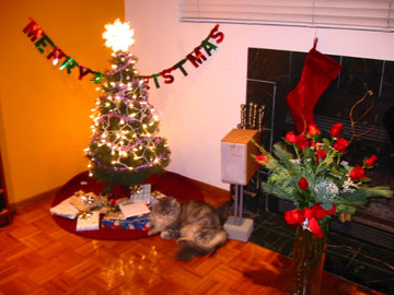 f0068883_14435987.jpg
