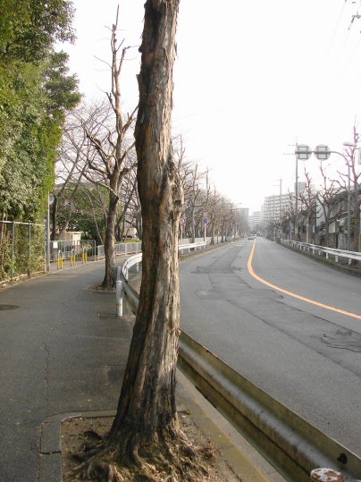 f0008085_2123396.jpg