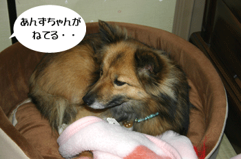 a0041108_22212638.gif