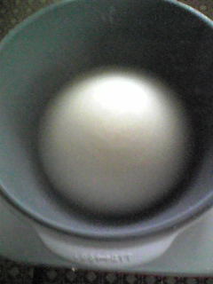 f0084010_1894875.jpg
