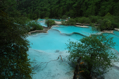 f0115214_15313956.gif