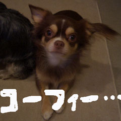 c0036617_2131489.jpg