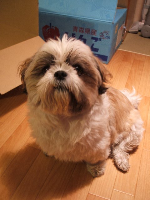 b0052523_1444444.jpg