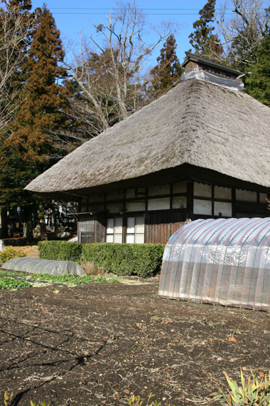 f0081726_20403391.jpg