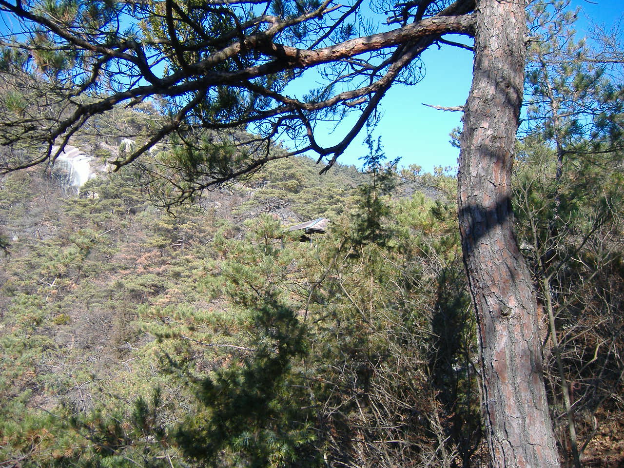 a0005436_15502974.jpg