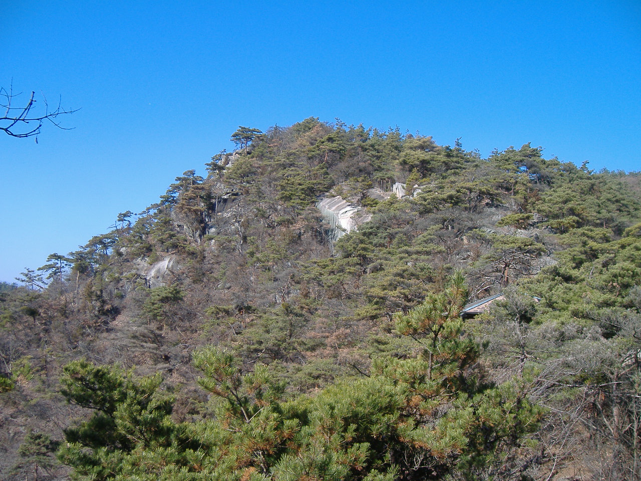 a0005436_15504371.jpg