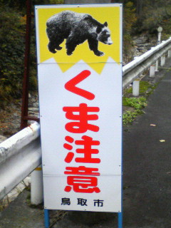 a0044439_23335820.jpg