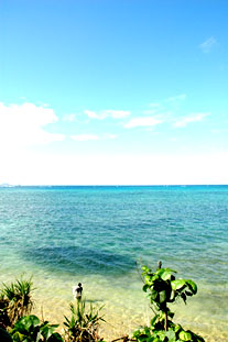f0014842_15401527.jpg