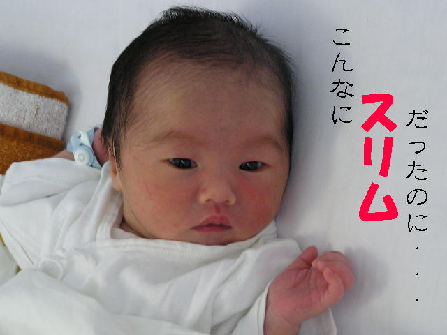 a0090451_11504342.jpg