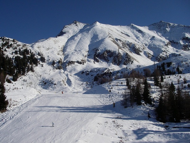 e0066062_8432045.jpg