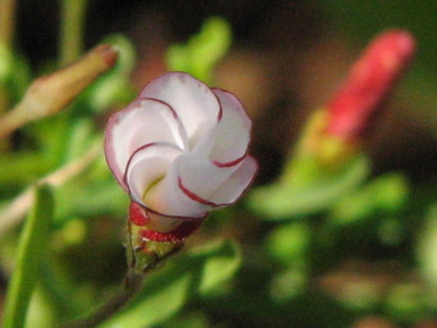 d0050472_20155859.jpg