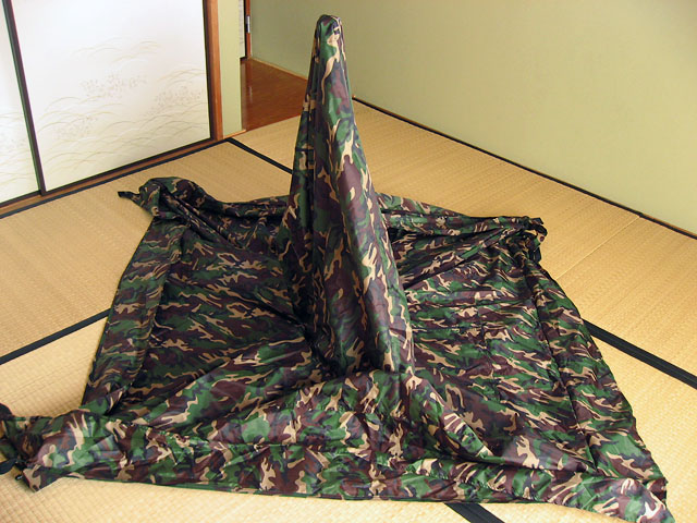 b0042282_20411697.jpg