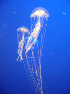 c0035386_0342728.jpg