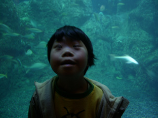 c0035386_054816.jpg