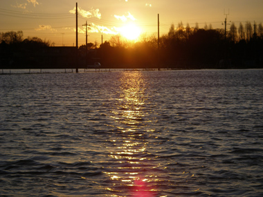 d0045295_135252.jpg