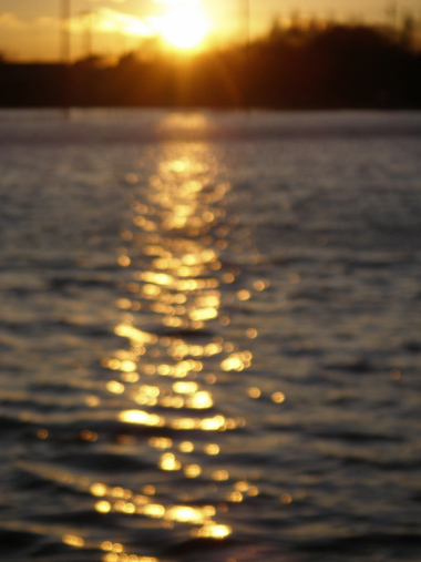 d0045295_152010.jpg