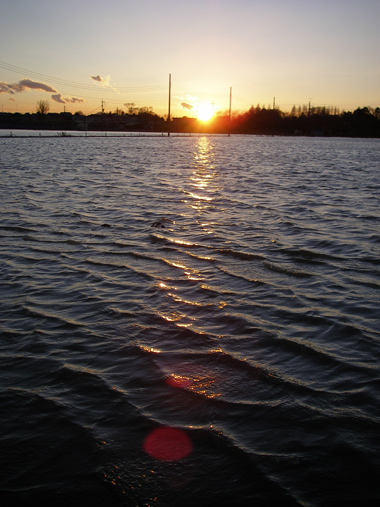 d0045295_182858.jpg