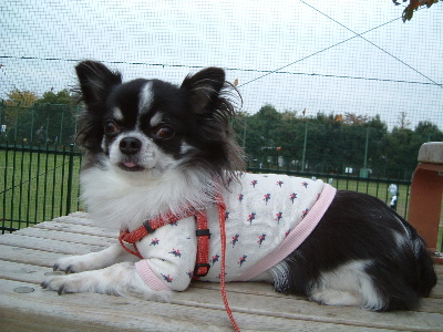 a0079803_2332673.jpg