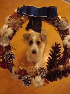 f0080105_012446.jpg