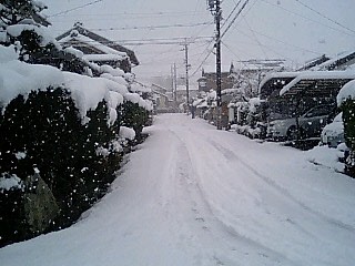 e0092907_1949050.jpg