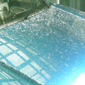 b0031009_829191.jpg