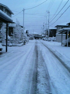 a0026413_772468.jpg
