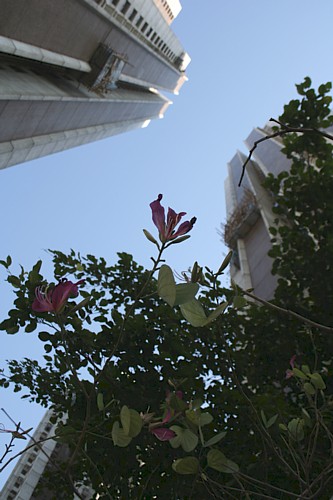 e0002214_2155210.jpg
