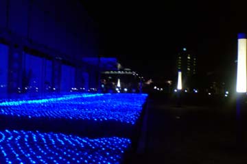 a0005321_1542640.jpg