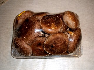 e0047322_23273723.jpg