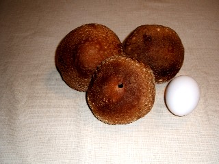 e0047322_23295376.jpg