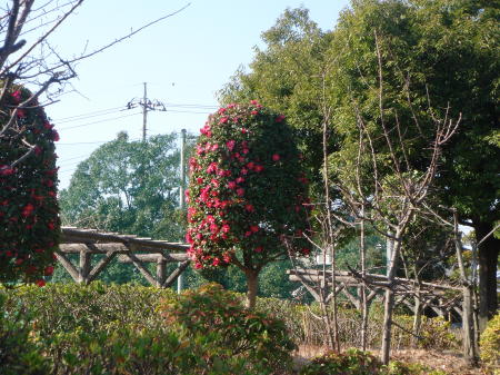 f0023625_1651476.jpg