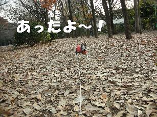 e0103831_039158.jpg