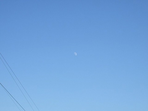 c0038334_23293691.jpg