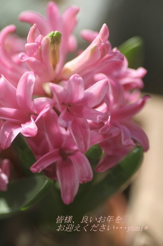 c0083439_055465.jpg
