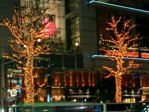 c0074444_6385891.jpg