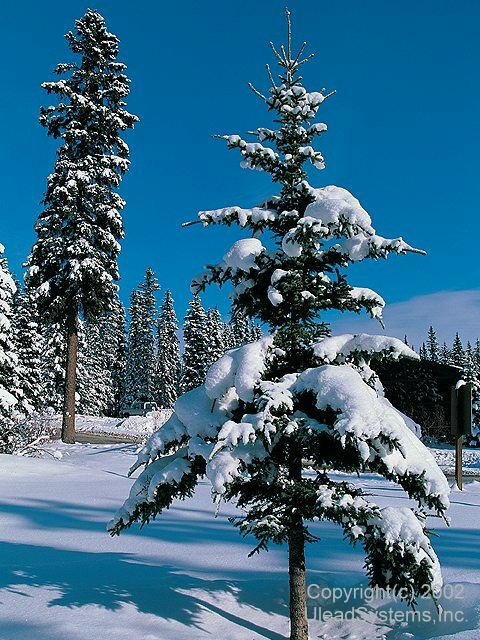 c0026846_2324769.jpg