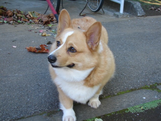b0061261_2236612.jpg