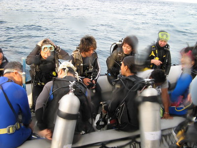 a0002177_1624194.jpg