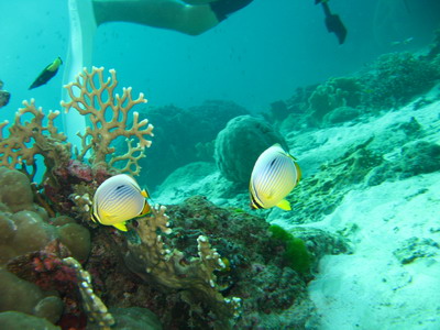 a0002177_16264095.jpg