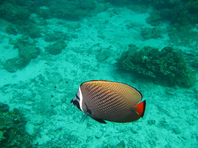 a0002177_16324412.jpg