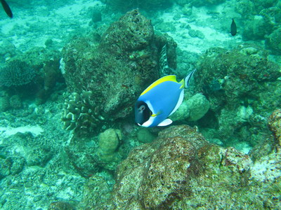 a0002177_1632780.jpg