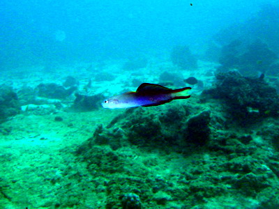 a0002177_163415100.jpg