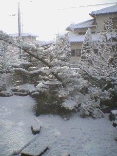 e0020782_9161275.jpg