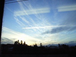 b0062185_0593669.jpg
