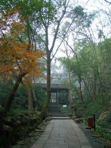 f0089386_22185570.jpg