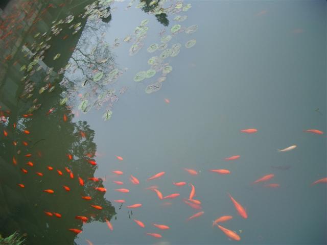 f0089386_22422279.jpg