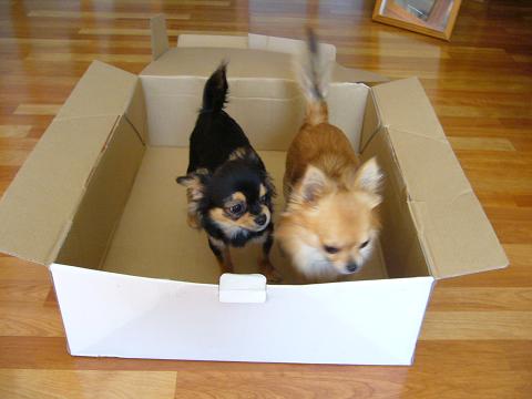e0009391_1133560.jpg