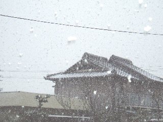 f0117294_8383195.jpg