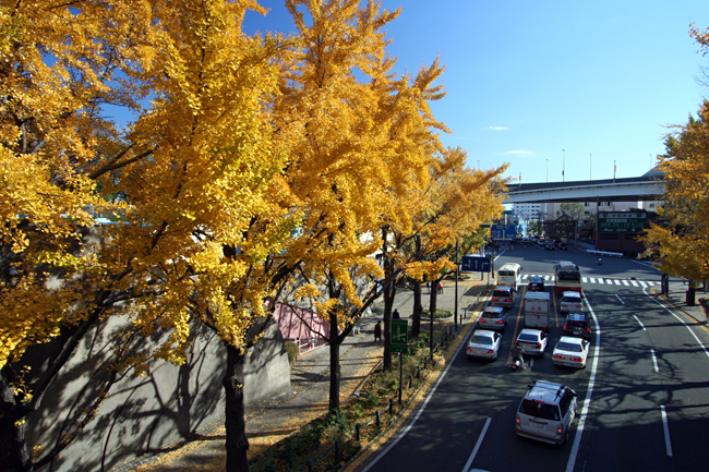 c0025895_2211014.jpg
