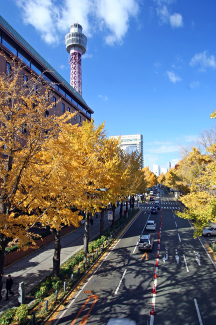 c0025895_2213041.jpg